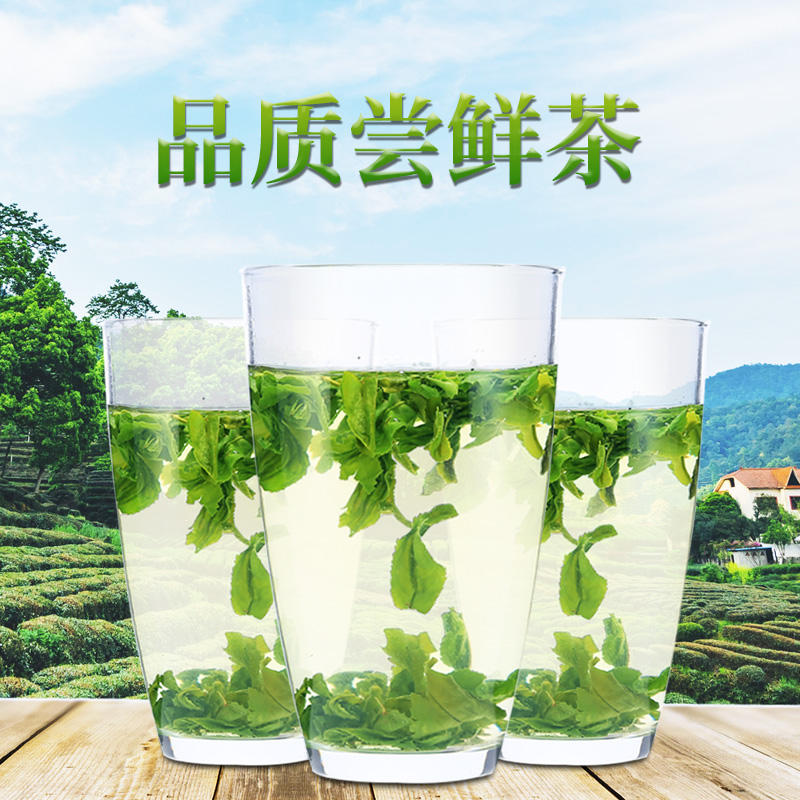 茶葉綠茶六安瓜片2023年新茶散裝茶安 徽濃香型茶葉試喝自己喝50g
